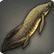 Lunar Lungfish
