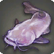 Light Expanse Catfish