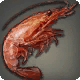 Ruby Shrimp
