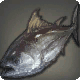 Bloodfresh Tuna