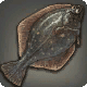 Kholusian Flounder