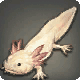 Tiny Axolotl