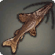 Armored Catfish
