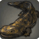Abalathian Salamander